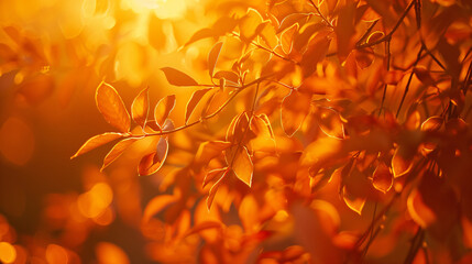 Sunset orange background to infuse warmth and optimism into product photography. - obrazy, fototapety, plakaty
