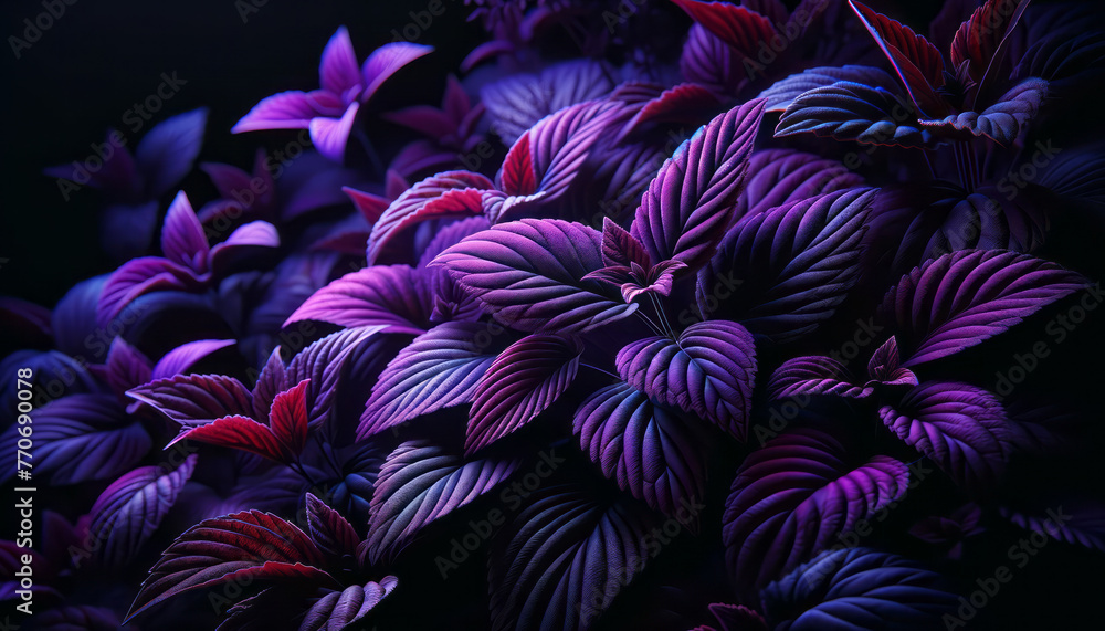 Poster artistic botanical composition with dynamic purple and pink leaves on a dark background. generative 
