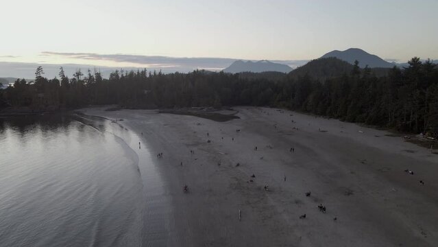 Drone footage of the beachgoers at Cox Bay Beach at sunset in Tofino town, Vancouver Island, Canada