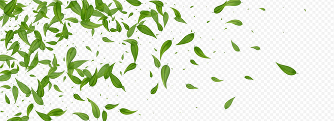 3360X1225panor-10__leif_12_01.eps