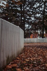 Vertical of a white fence at a park with the ground covered with autumn leaves
