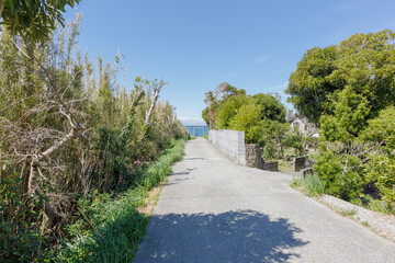 洲崎神社　一の鳥居と海に続く参道　千葉県南房総市