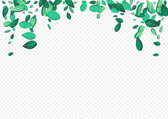 green_leaf_transparent_background477.eps
