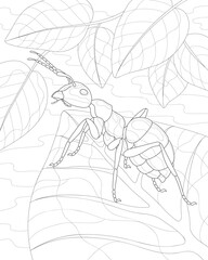 Coloring book for adults. Ant, leaves close-up.