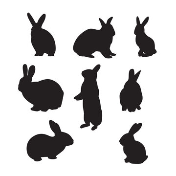 rabbit animals silhouette set