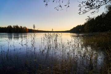 lake surrounded by tall grass and some trees during the sun setting