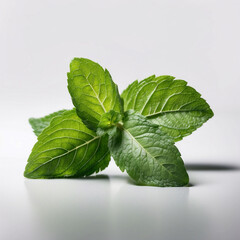 mint leaf, healthy organic food