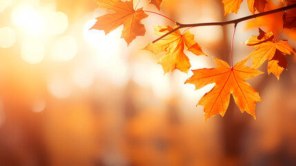 Fototapeta premium Charming autumn scenery