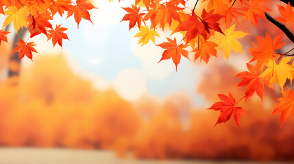 Naklejka na ściany i meble Autumn background with copy space Autumn season changes background