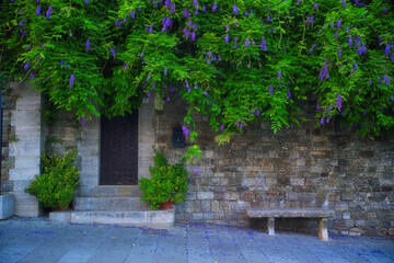 there are purple flowers on the wall by the door and bench