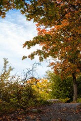 Scenic park with lush autumnal colors