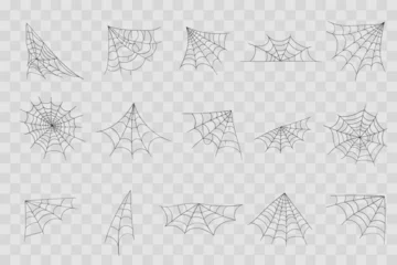 Fotobehang Halloween cobweb, frames and borders, scary elements for decoration. Hand drawn spider web or cobweb. Line art, sketch style spider web elements, spooky, scary image. Vector illustration.  © Little Monster 2070