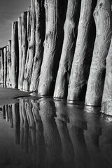 Sandy shoreline, passing by wooden posts - obrazy, fototapety, plakaty