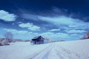 Scenic infrared landscape of a rustic wooden building in the field with lush green grass - obrazy, fototapety, plakaty
