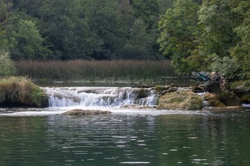 Obraz premium Dobra river in Croatia, with lush and vibrant trees in the background
