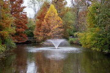Beautiful shot of a pond with a fountain in an autumn forest - obrazy, fototapety, plakaty