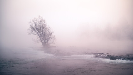 Obraz na płótnie Canvas misty morning mist