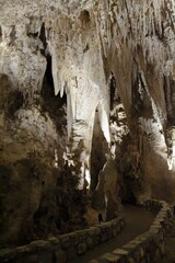 Ice cave, illuminated by bright lighting: Carlsbad Caverns National Park near Carlsbad, New Mexico