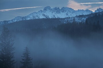 Scenic view of a snowy mountain range covered with a forest on a foggy day