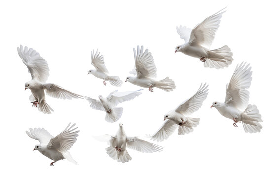 Graceful white doves flying png on transparent background
