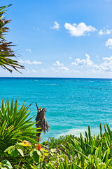 The sea at Tulum Mexico. December 2021. This was during a hot day during the Covid 19 pandemic. The...