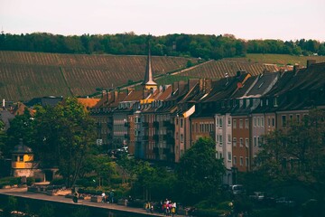 town near a green forest, with buildings lined up along the banks of a winding river in Wurzburg