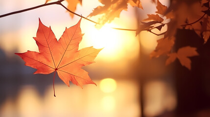 Naklejka na ściany i meble Fallen leaves in the woods in autumn