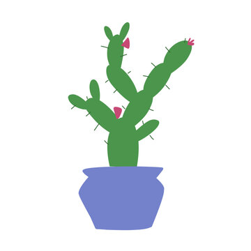 Cactus flat style. Vector illustration