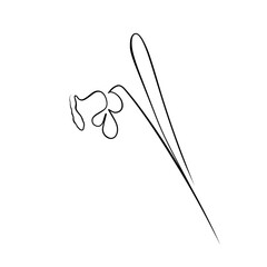 Continuous drawing of lines. Line art continuous line drawing of a flower. Vector minimalist design
