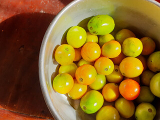 tomatoes in a pot exposed to sunlight from the window