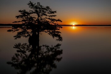 Naklejka premium Majestic tree standing in the foreground of a tranquil lake at sunset.