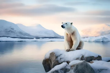 Fototapete Majestic Polar Bear in Arctic © Niko