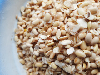 soybeans with the Latin name Glycine max which are the raw material for making soy milk