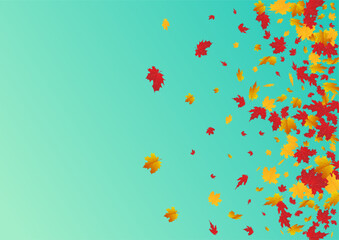 2400x170058__osen_3_01.eps