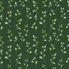 Watercolor seamless pattern of greenery. Hand painted floral composition isolated on dark green background. Illustration for interior design and background. - 770722875