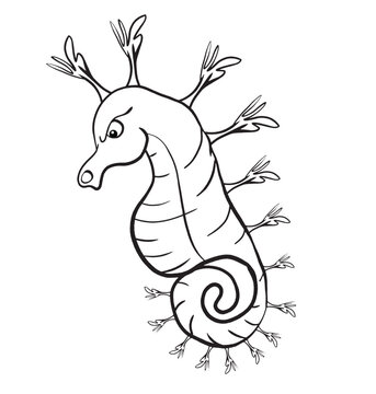seahorse vector