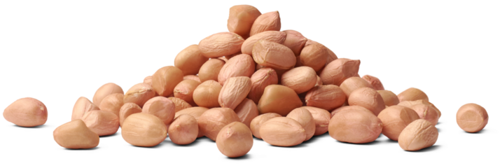 pile of peanuts, aka groundnuts, most popular nuts with skin, enjoyed for their delicious taste and numerous health benefits, side view of isolated on white background