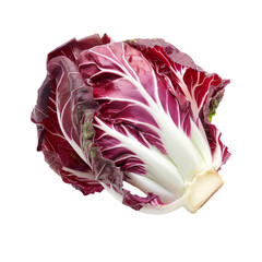 Fototapeta premium Radicchio transparent background