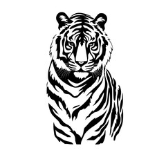 tiger head isolated on white