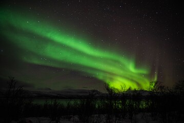 Fototapeta na wymiar Stunning aurora borealis illuminating the night sky above the rural landscape.