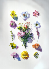 Heads of watercolor flowers on a white background, imitation of watercolor paper, multi-colored flowers and bouquet