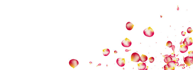 Pink_Petals_Rose_Flying_120.eps