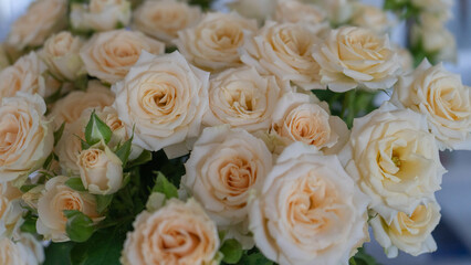 bouquet of light roses