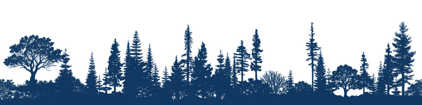 Silhouette of a forest, seamless border, isolated on white background