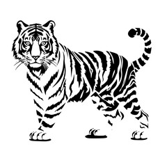 Fototapeta premium tiger