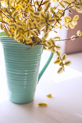 spring bouquet with willow branches in a blue ceramic vase. gentle sunlight,