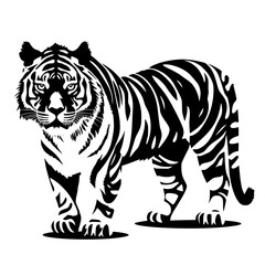 tiger