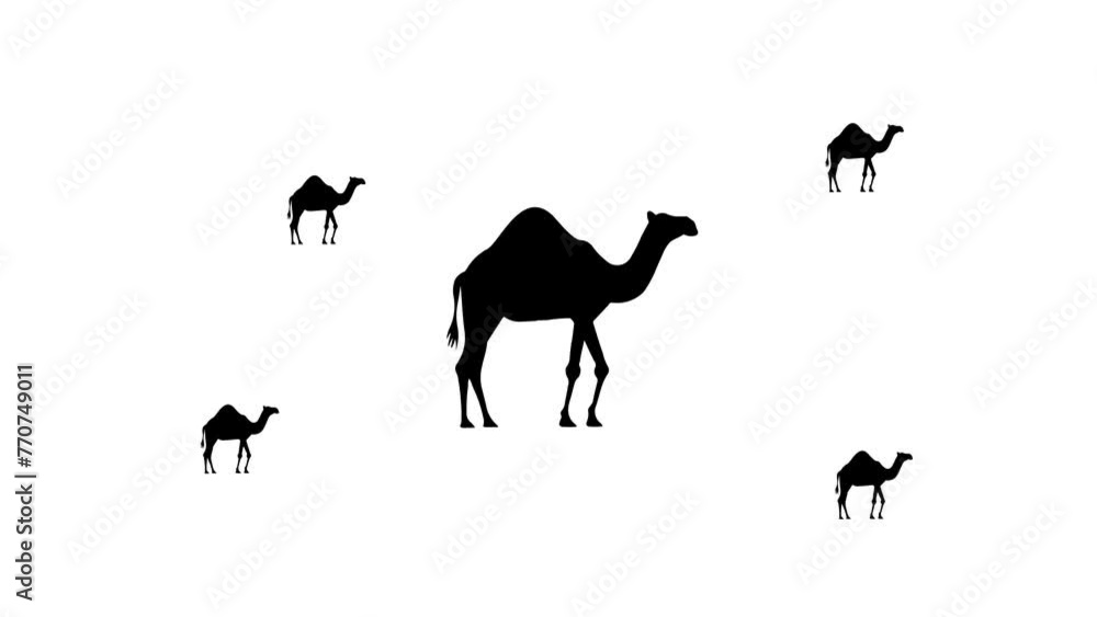 Poster zoom in and out animation the camel symbol. large black symbol in the center and four small symbols 