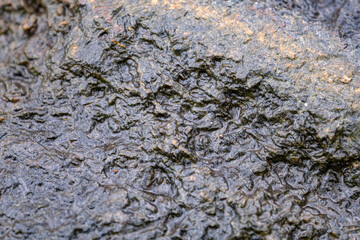Old, rough, wet stone wall surface background or texture. 
