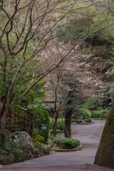 紀尾井町の風景